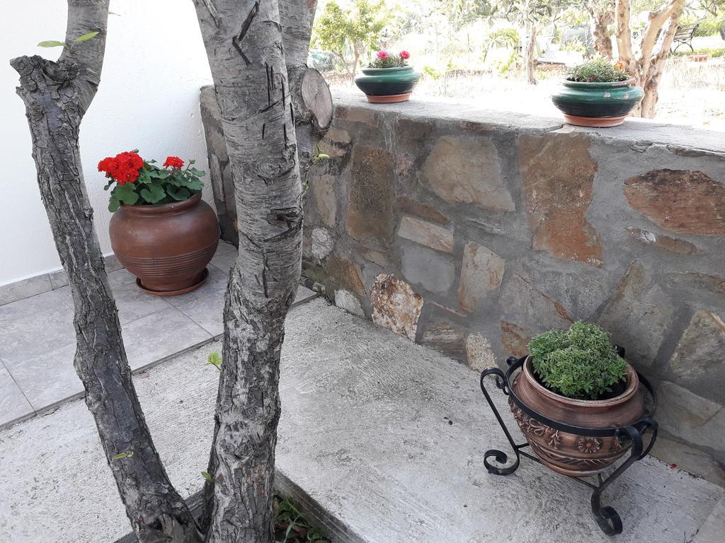 Nikiforos House Appartement Agios Nikolaos  Buitenkant foto